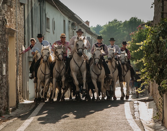 camargue-1628592_640